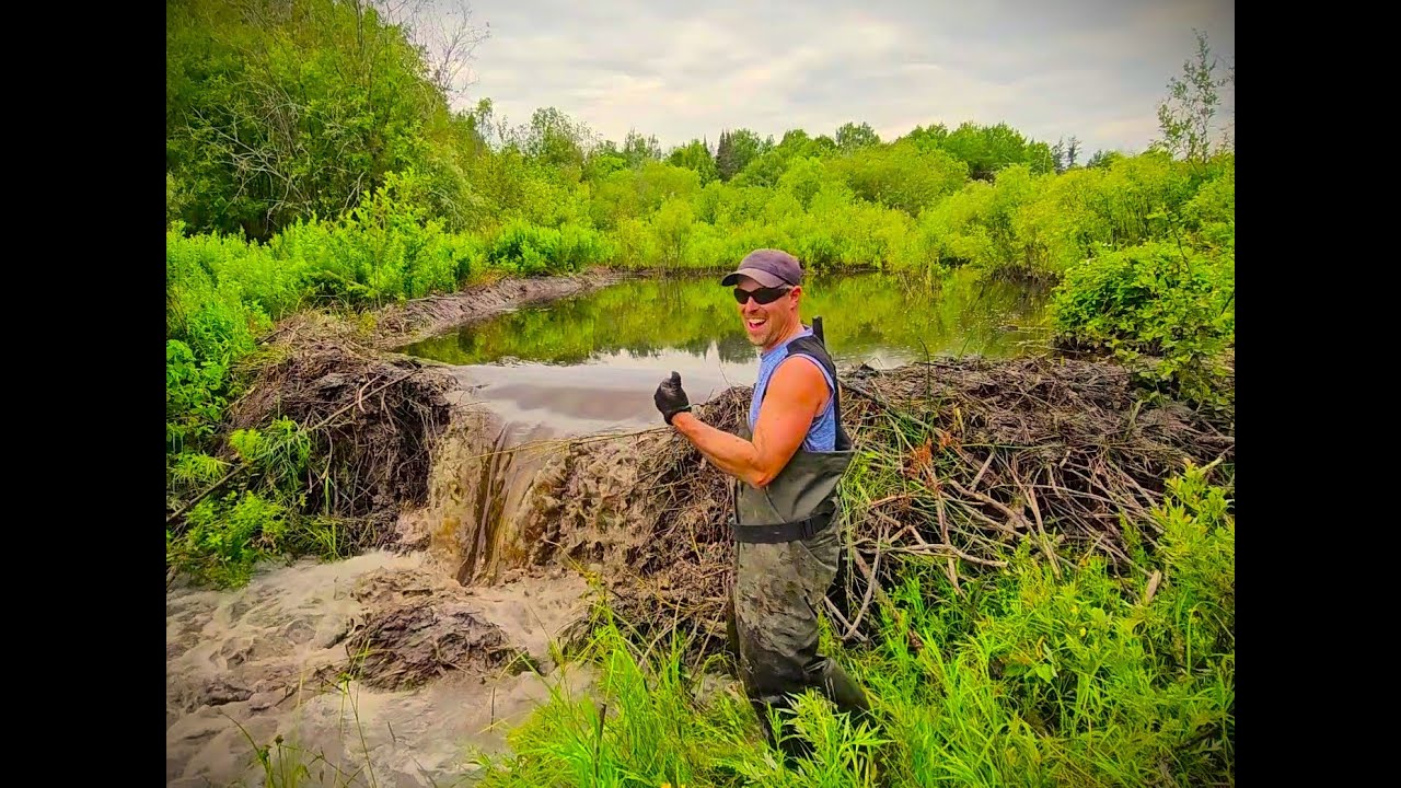 Casimir Beaver Dam Removal