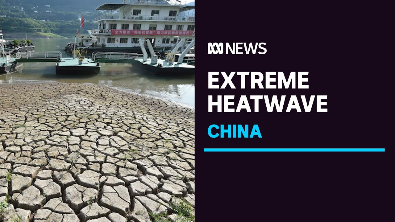 China suffers through its longest and hottest heatwave | ABC News