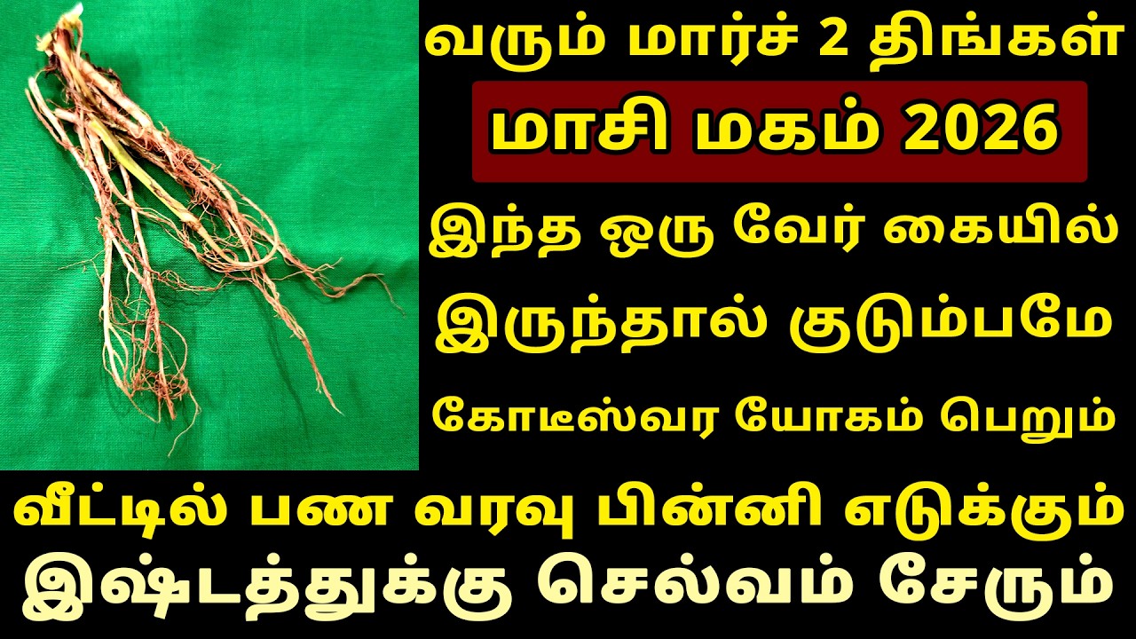 வரும் Mar-2 மாசி மகம் இந்த வேர் கையில் இருந்தால் யோகம் சேரும்! Masi Magam 2026