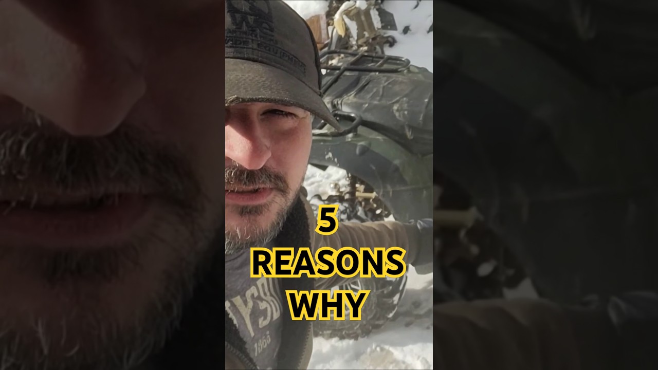 Five Reasons Why, Can You Think Of Anymore? #shorts #atv