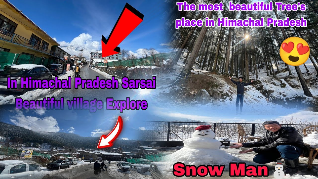The most beautiful Tree's place in Himachal Pradesh 😍 || Today Sarsai village explore 😍 | Snow Man⛄.