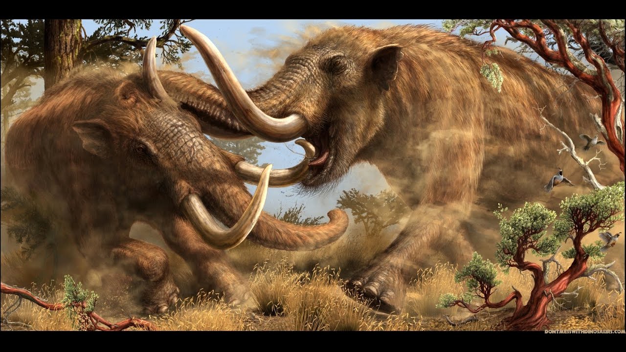 Mastodons: Extinct Elephant Relatives