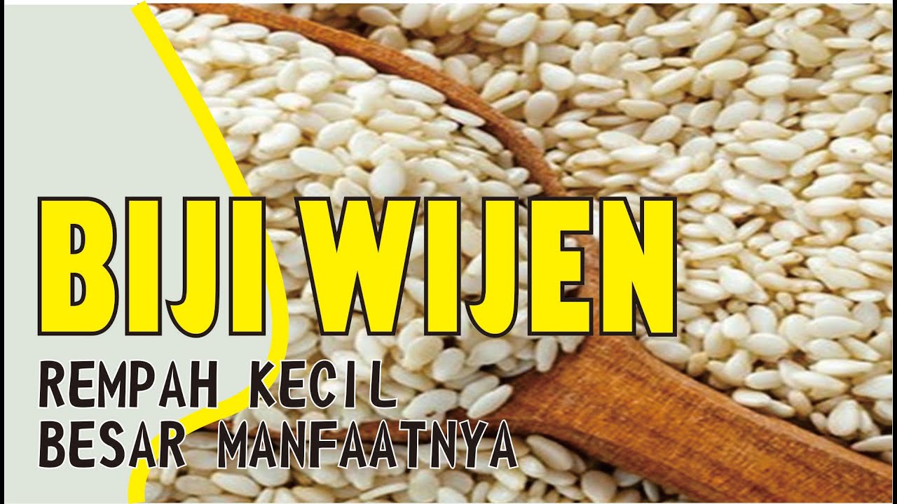 BIJI WIJEN............. REMPAH KECIL BESAR MANFAATNYA UNTUK KESEHATAN