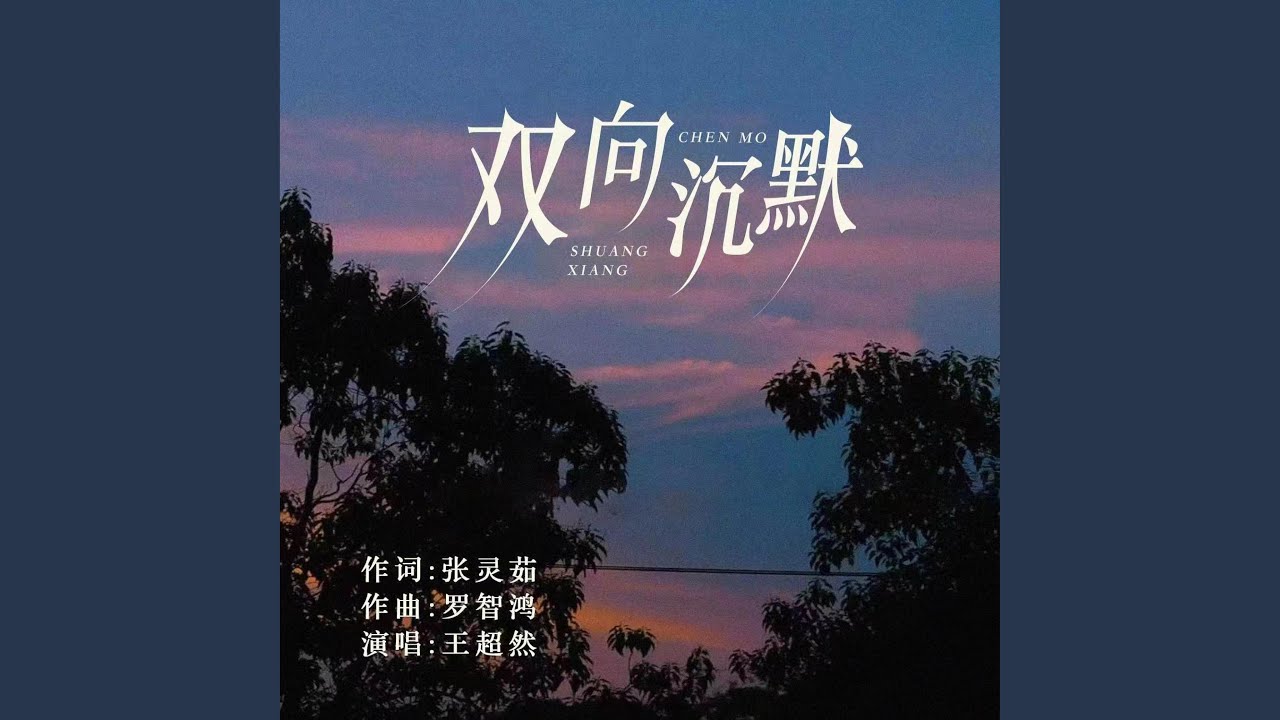 双向沉默
