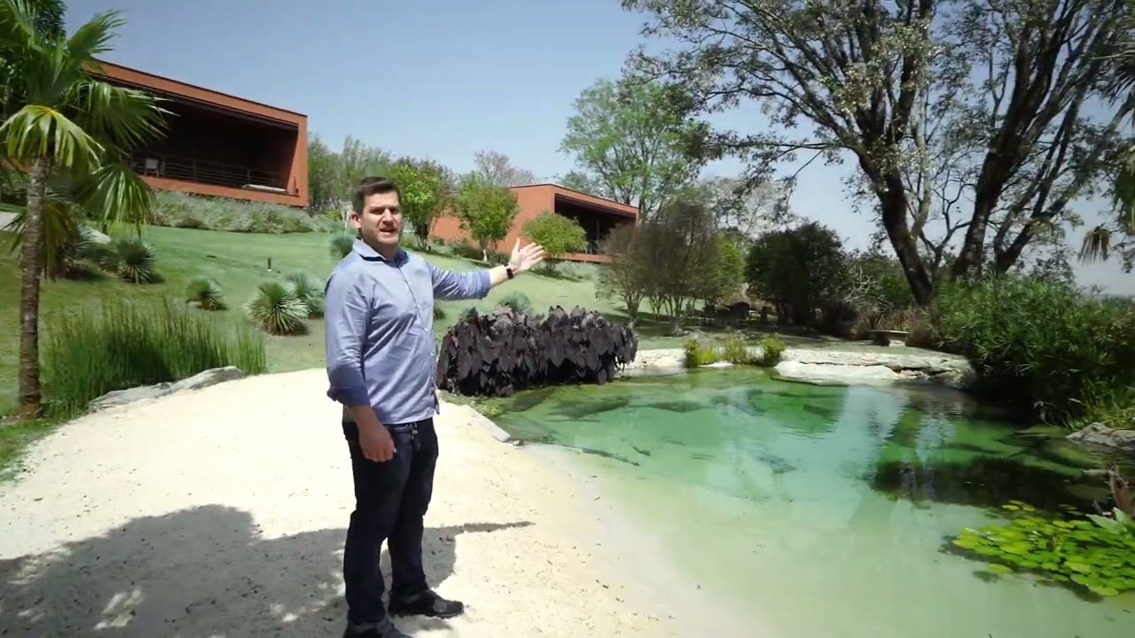 Dicas sobre plantas aquáticas - ECOSYS