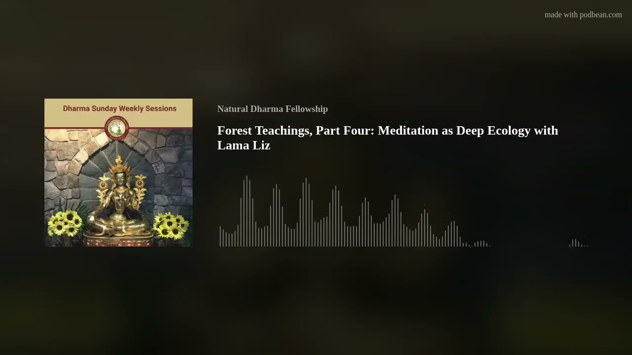 Forest Teachings, Part Four: Meditation as Deep Ecology with Lama Liz