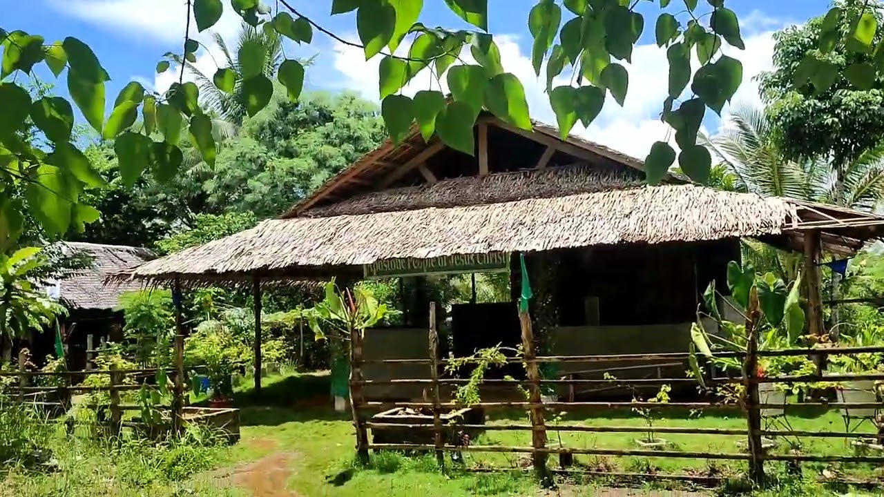 3 has beach lot. capaluhan calauag Quezon. dikit s resort. 40-60 meters frontage for. 280 per sqm