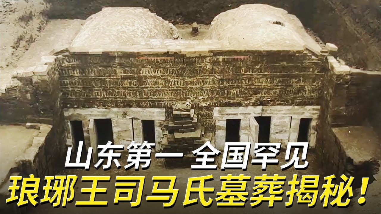 池塘下挖出山东最大规模晋墓！早夭的琅琊王尸骸 戴满金饰的冥婚女童 不料种种推测竟被全部推翻！——琅琊王司马氏家族墓特辑  | 中华国宝