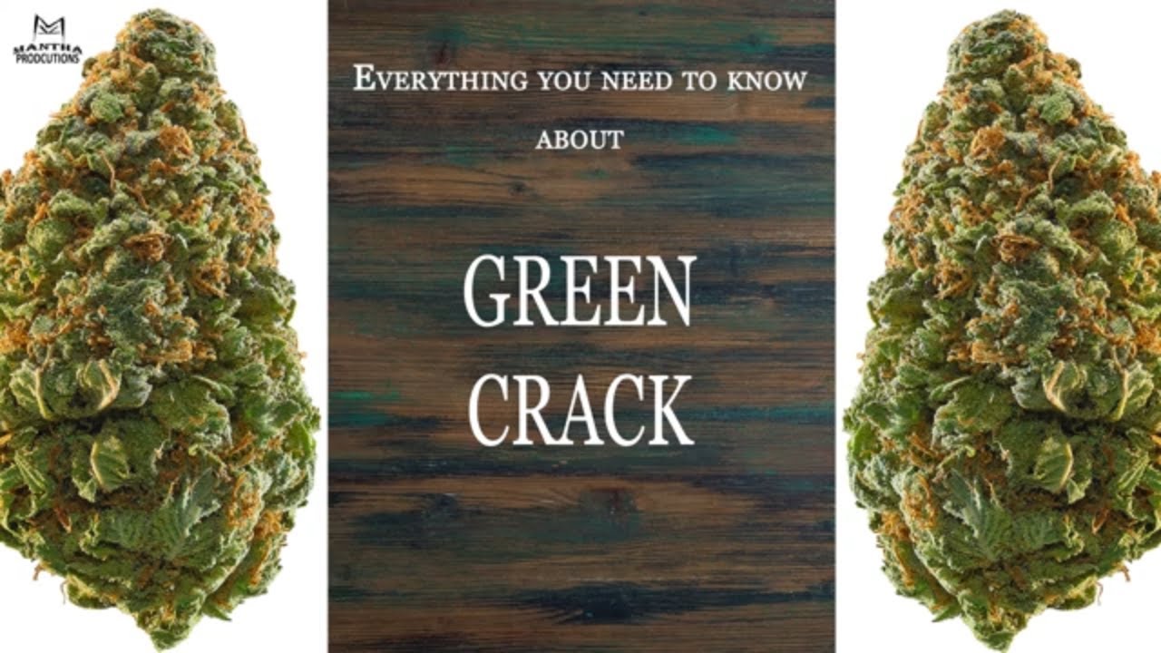 Green Crack | Best Buds Strain Spotlight