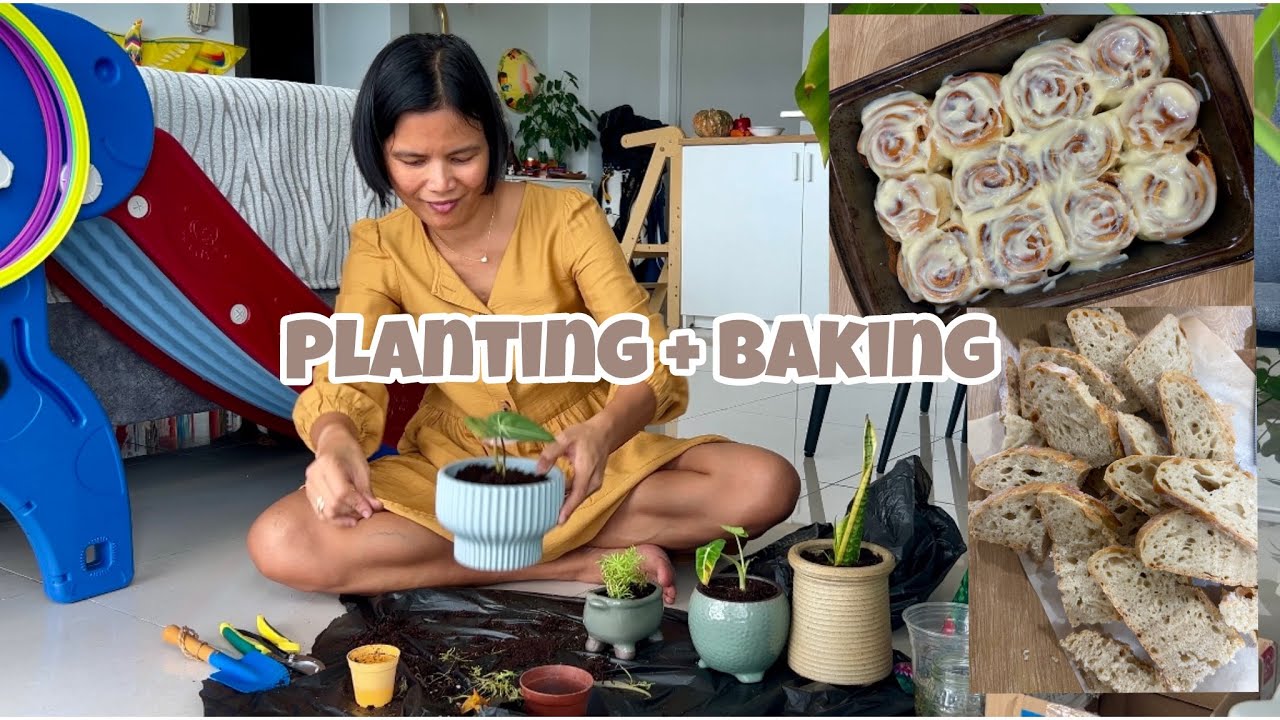 Slow Life in Malaysia 🇲🇾 | A Planting 🪴 + Baking 🍞 Kind of Day | Homemade Bread and Cinnamon Rolls
