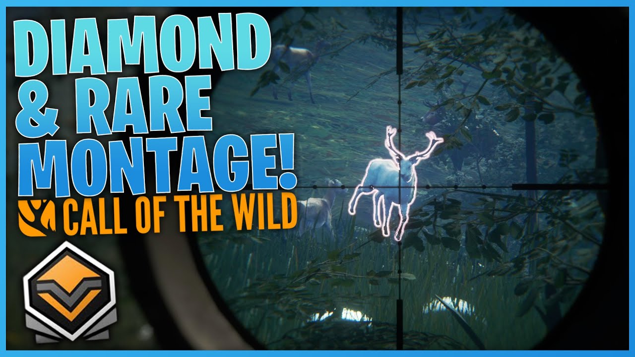 Diamond & Rare Montage #6 | theHunter: Call Of The Wild