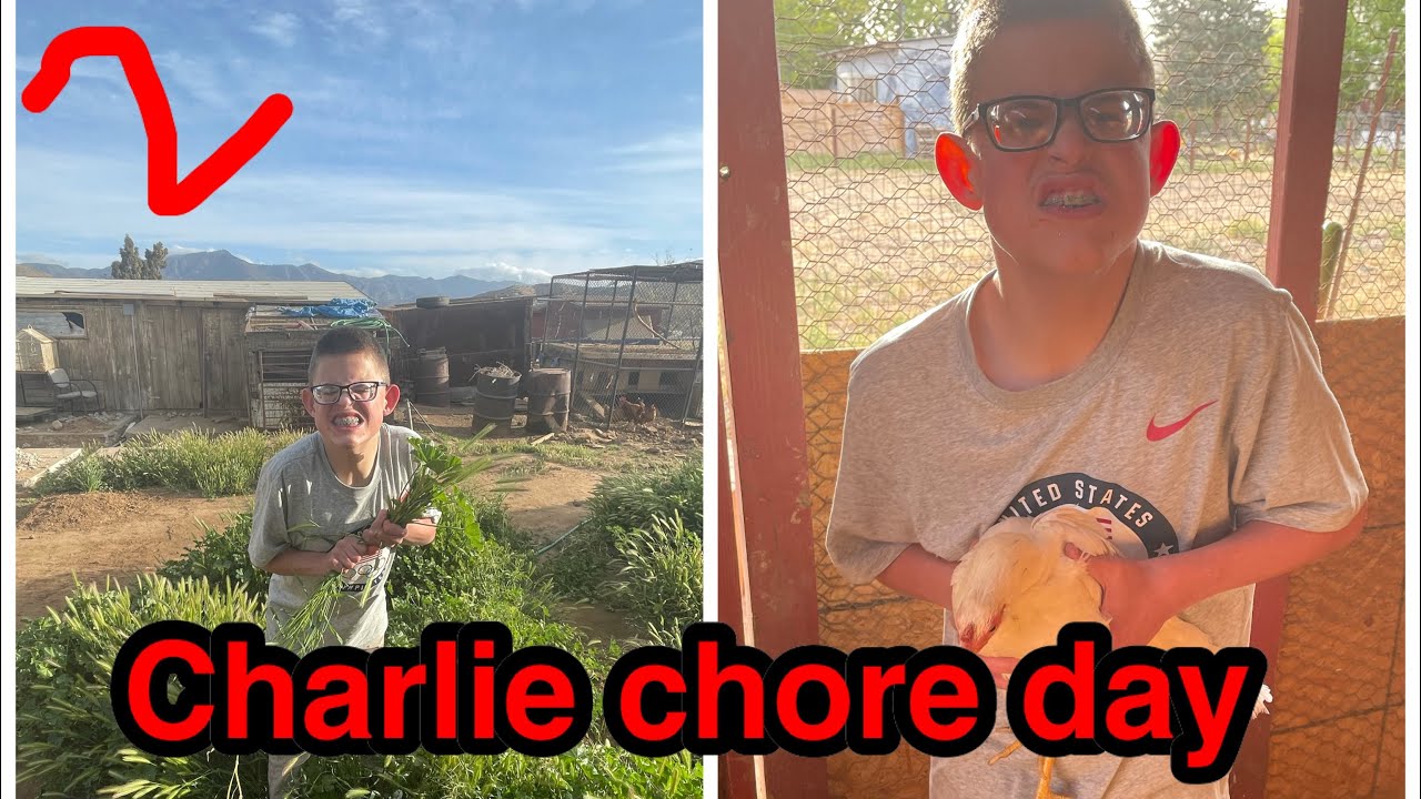 Charlie chore day part 2