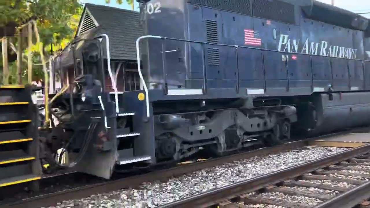 Railfanning at Riverdale Part 2 (RARE CATCHES)