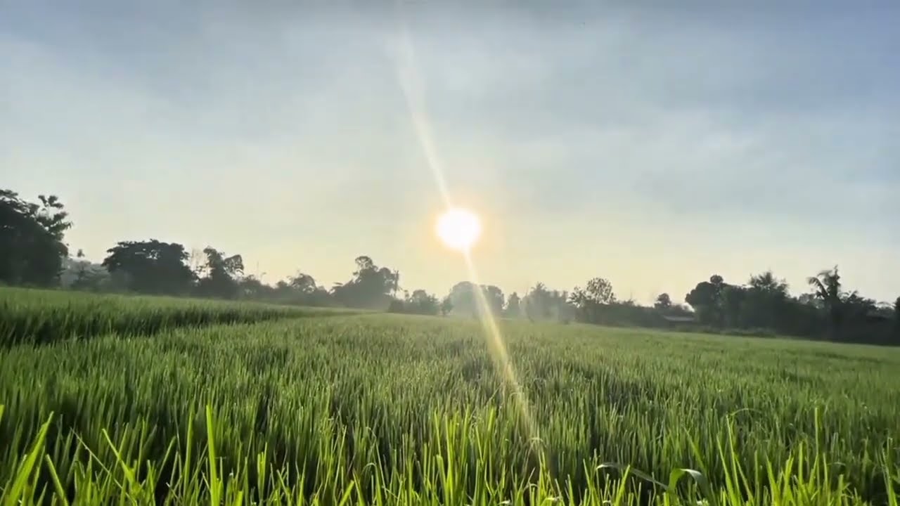 PROFIL ROBOTIKA ACUNETIX (MAN 6 JOMBANG)