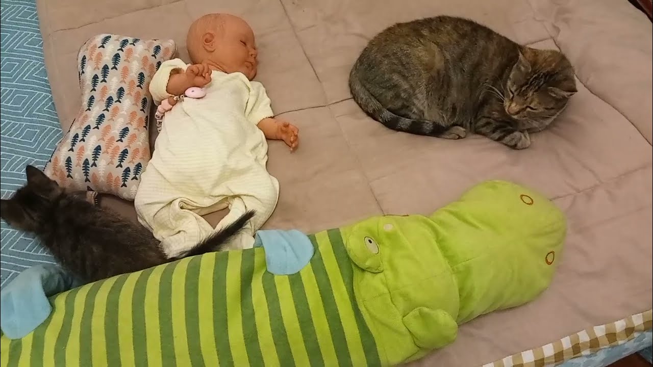 Mittagsschläfchen Routine mit Daisy reborn Baby deutsch reborn Baby rollplay