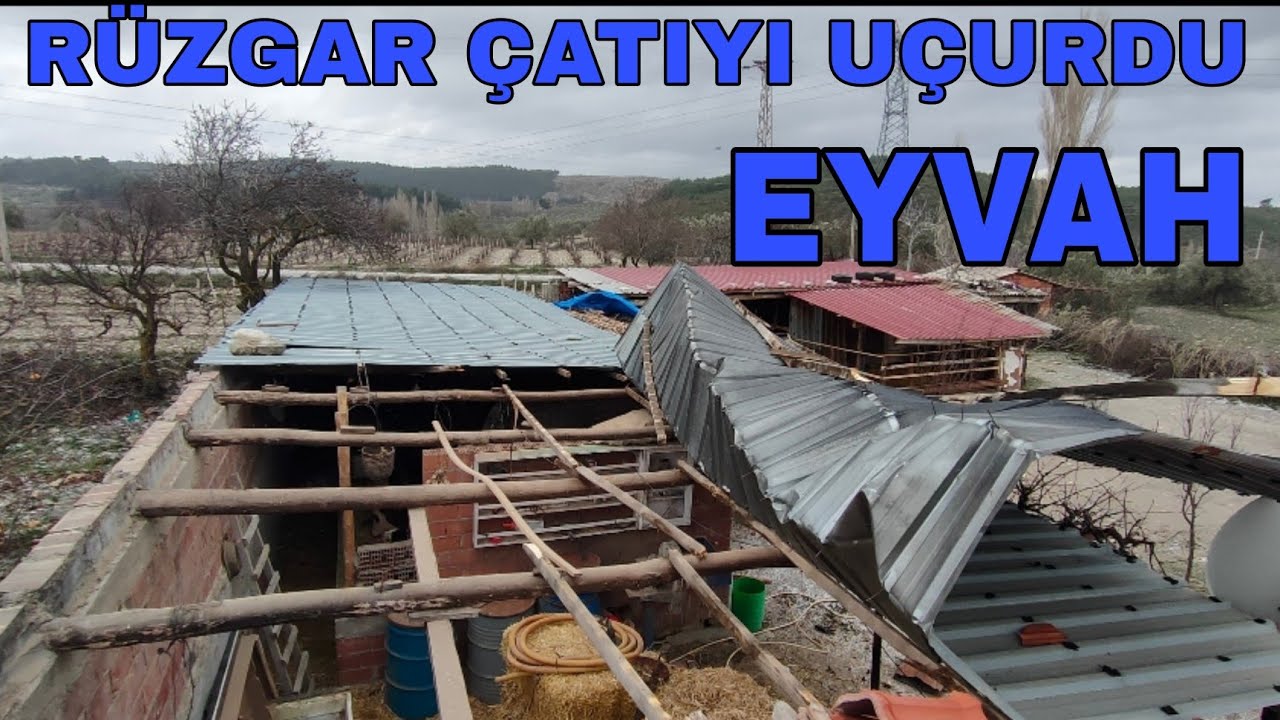 ŞİDDETLİ RÜZGAR ÇATIYI UÇURDU~KAR BASTIRDI~YEMLER GELDİ