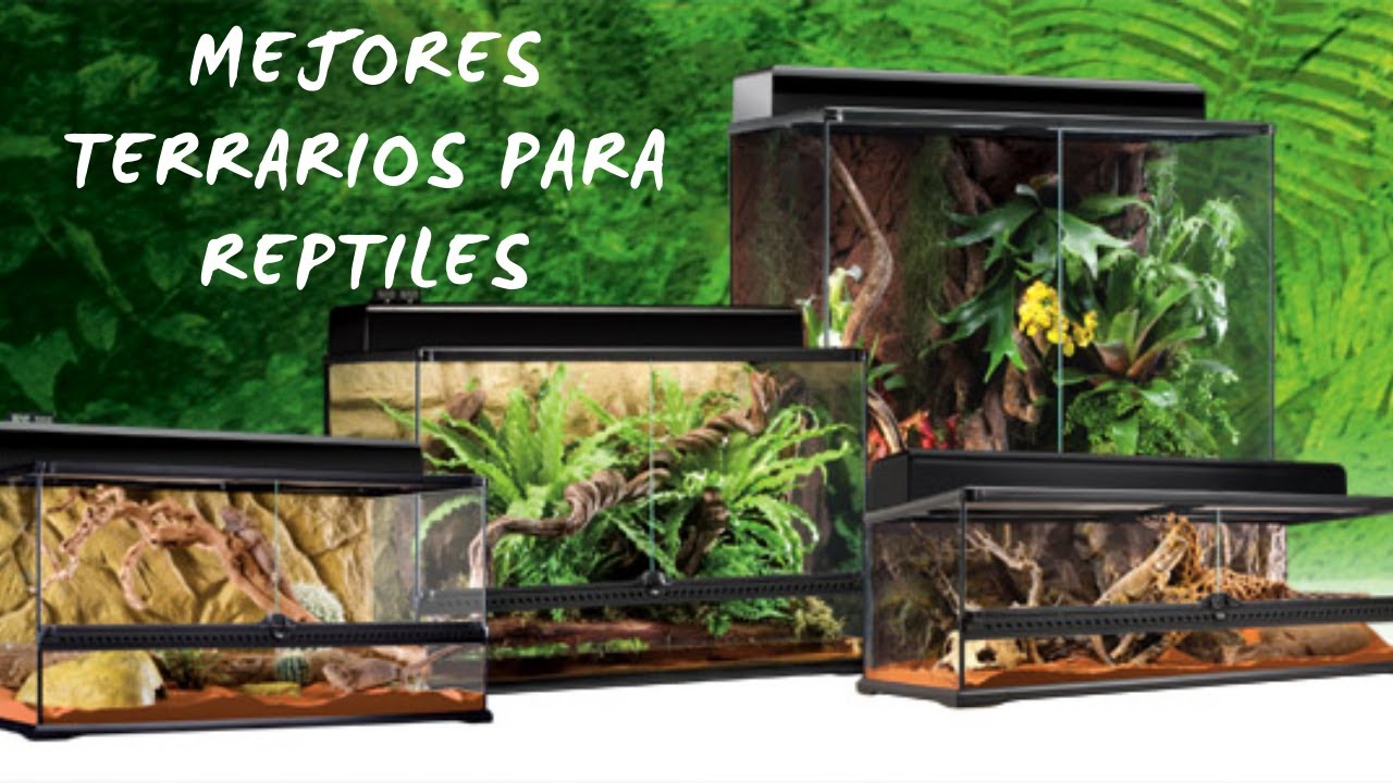 Los MEJORES TERRARIOS para Reptiles 2020
