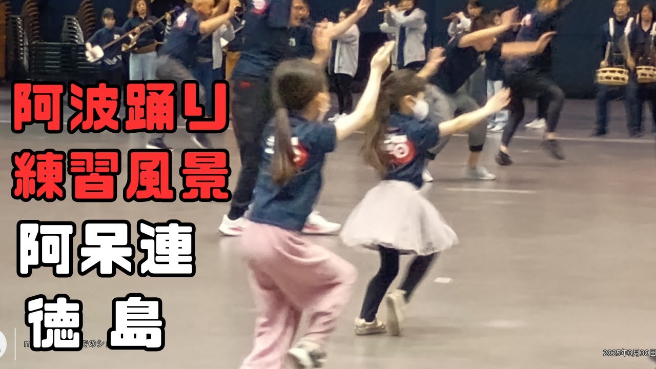 「阿波踊り」阿呆連の練習風景/徳島/2025