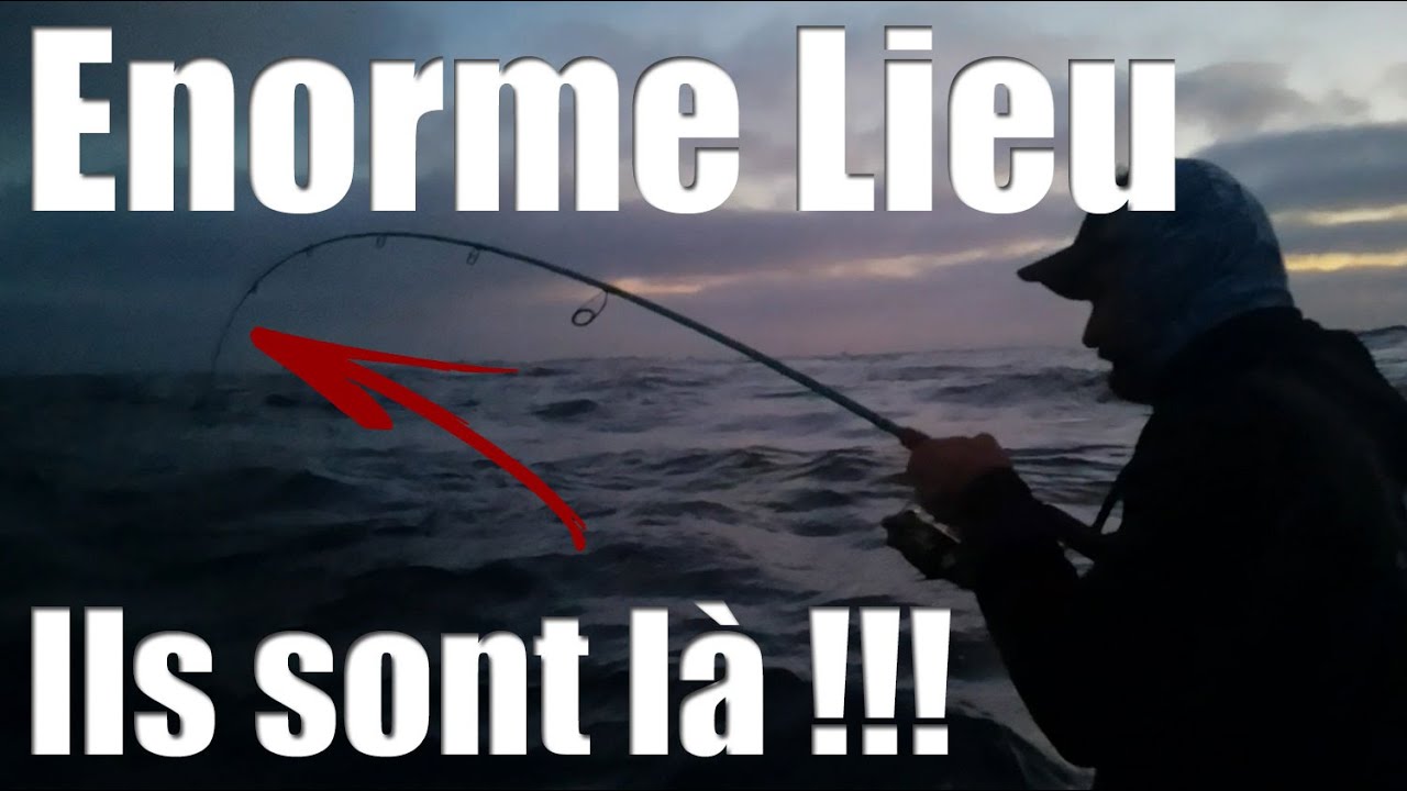Comment pêcher les gros LIEUS de OUESSANT : Techniques, Leurres, Spots