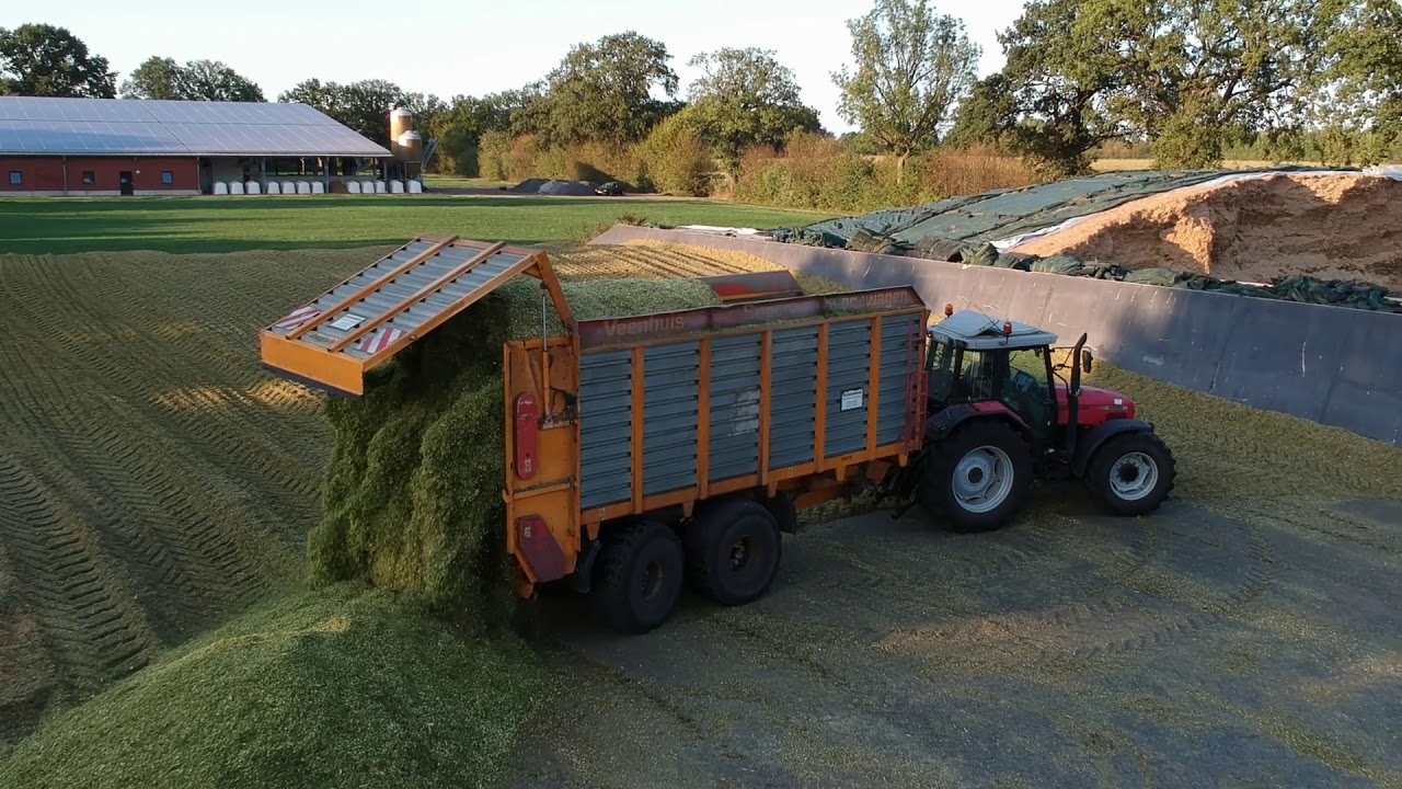 Maishäckseln / Biogasanlage