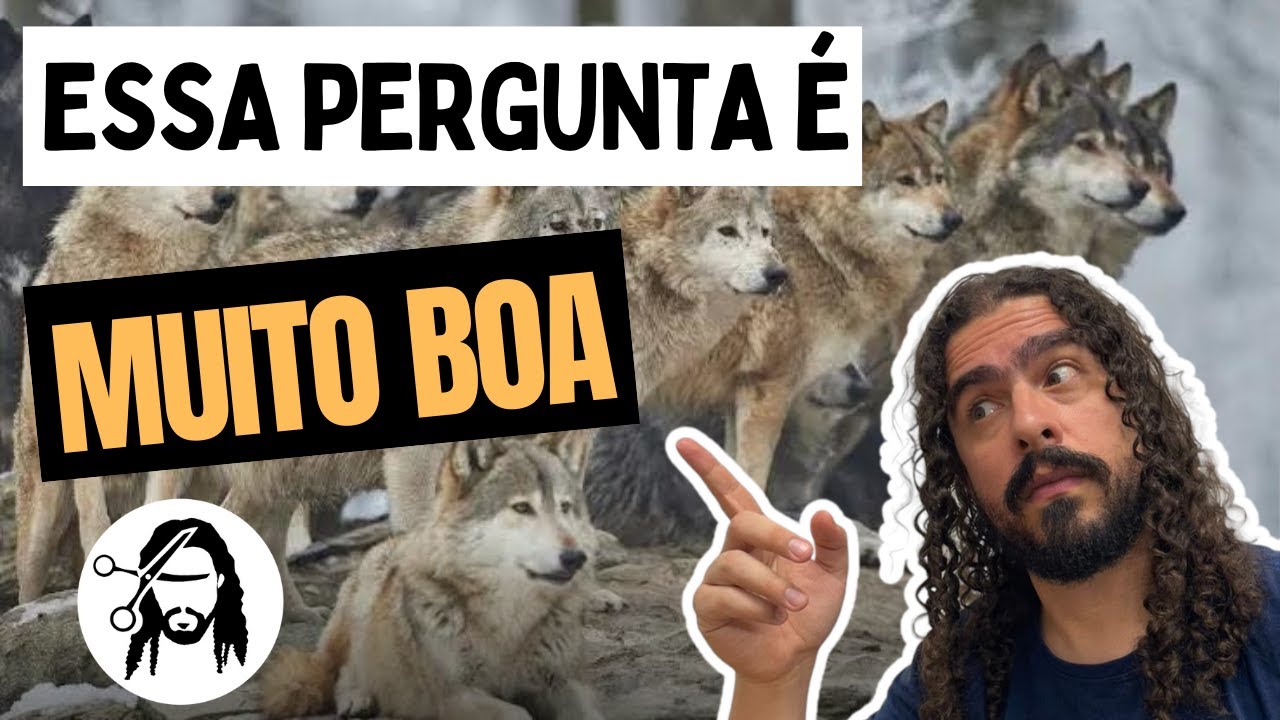 POR QUE NÃO EXISTEM GRANDES CANÍDEOS?