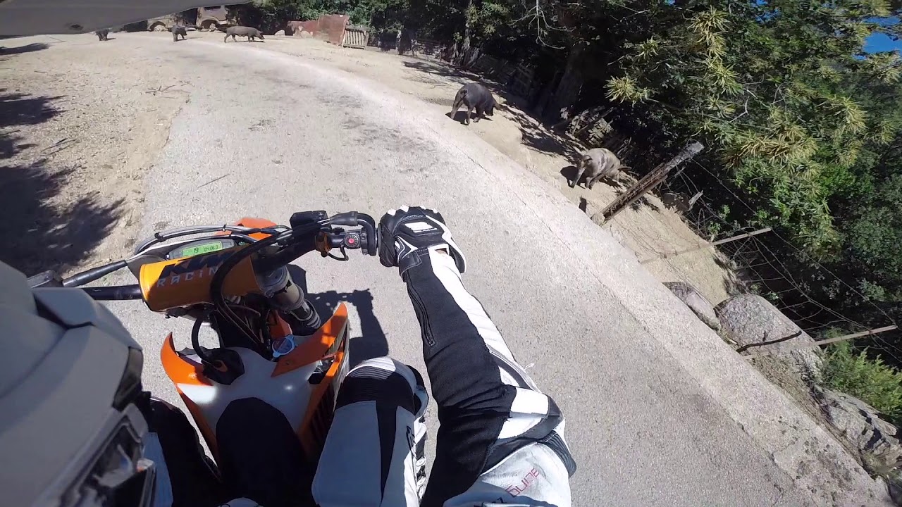 Supermoto Ride In Corsica