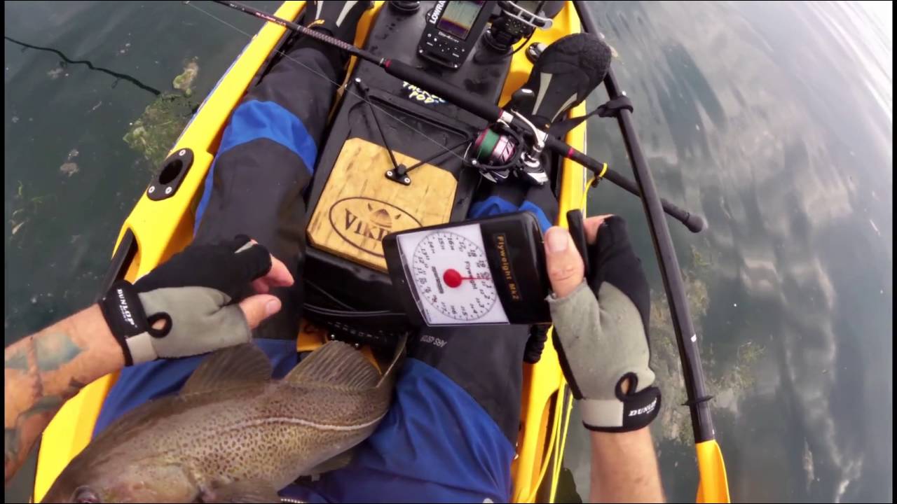 kayak fishing Runswick bay.july 2016 #Kayakfishing #seafishing #vikingkayaks #jigging
