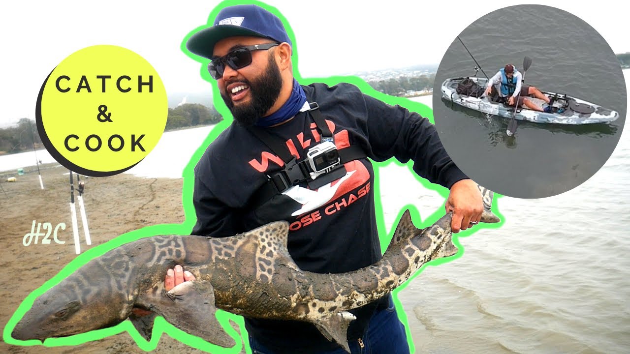 Leopard Shark Catch and Cook using a smart method to cast- Fishing hack