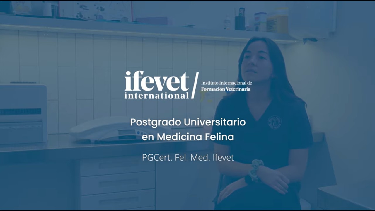 Postgrado Medicina Felina | Entrevista alumno - Ana