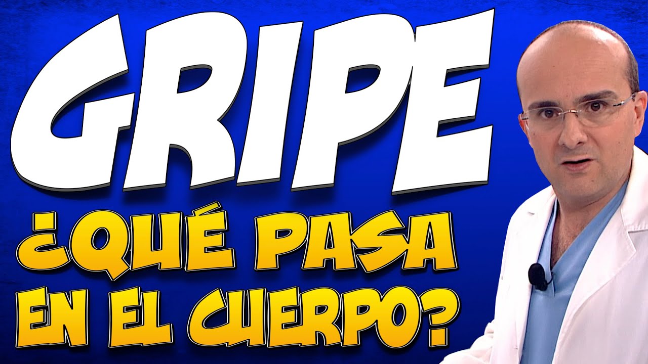 GRIPE - ¿Qué pasa en el cuerpo de quienes la padecen?