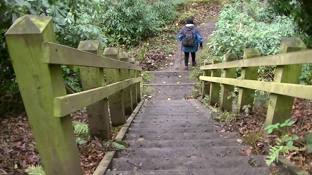 Bretton Lakes Walk November 2015