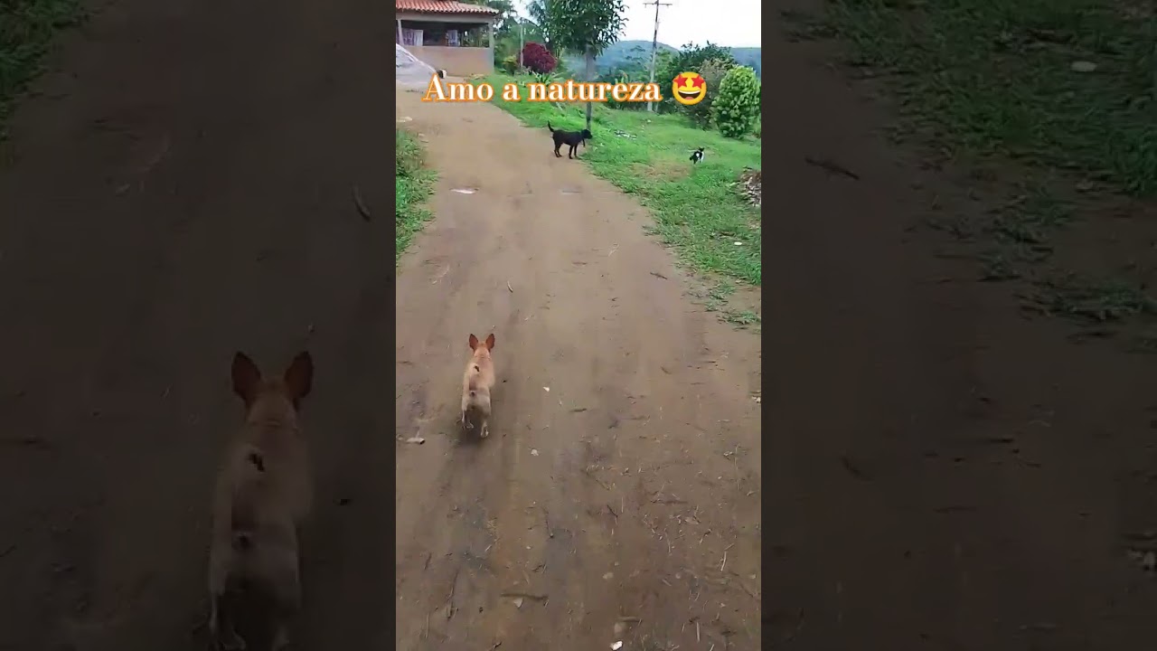 #minhavidanaro&ccedil;a