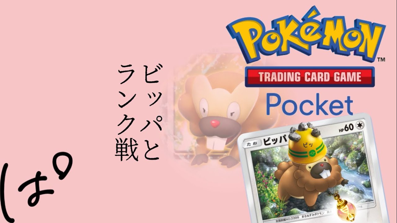 ビッパと一緒にランク戦！ || Pokémon Trading Card Game Pocket / LIVE /