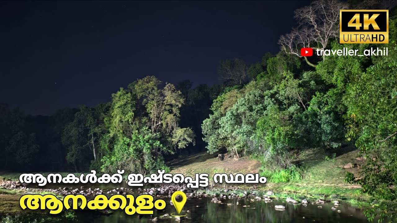 ആനകൾ വെള്ളം കുടിക്കാൻ വരുന്ന സ്ഥലം | ആനക്കുളം | ഇടുക്കി 