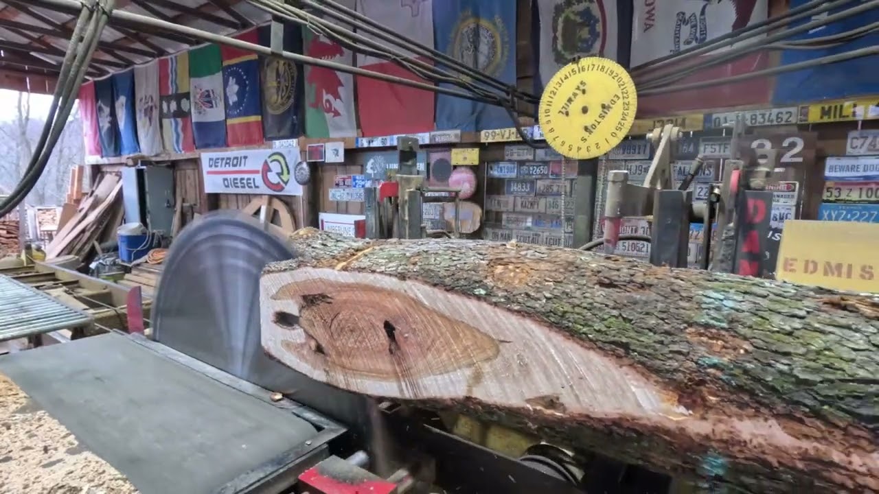 Happy Thanksgiving sawing cherry logs # 638