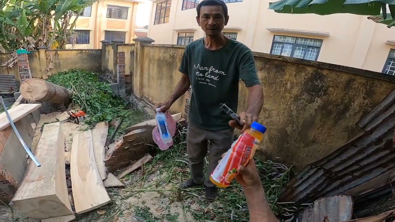 Hạ gốc và xẻ cây sao hoành 200 cho ông chủ nhà  ở lộc hiệp. 0911003106.🌲0397336494