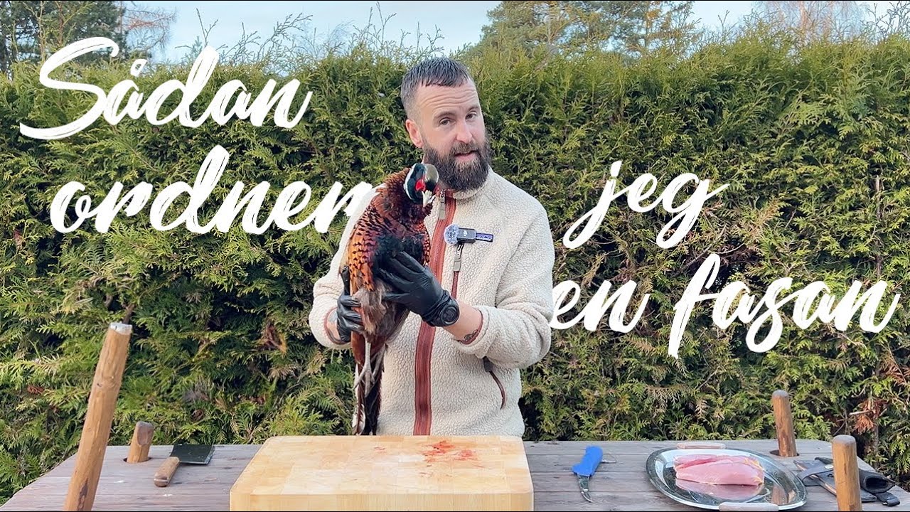 Sådan ordner jeg en fasan