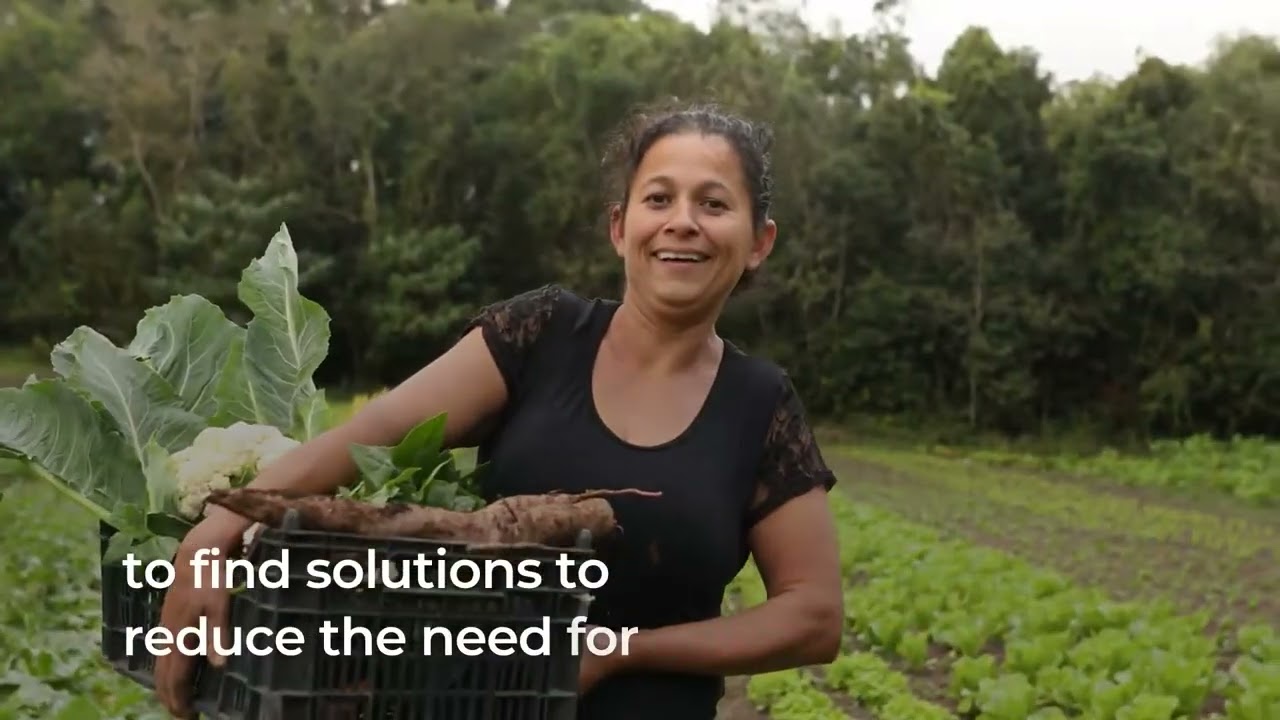 FAO - One Health