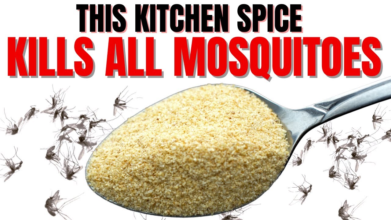 KILL Every Mosquito In Your Whole Yard | GUARANTEED SAFE METHOD