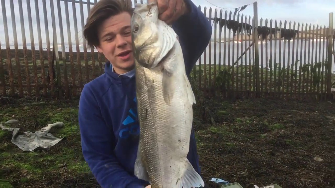 Habour Fishing| PB BASS!