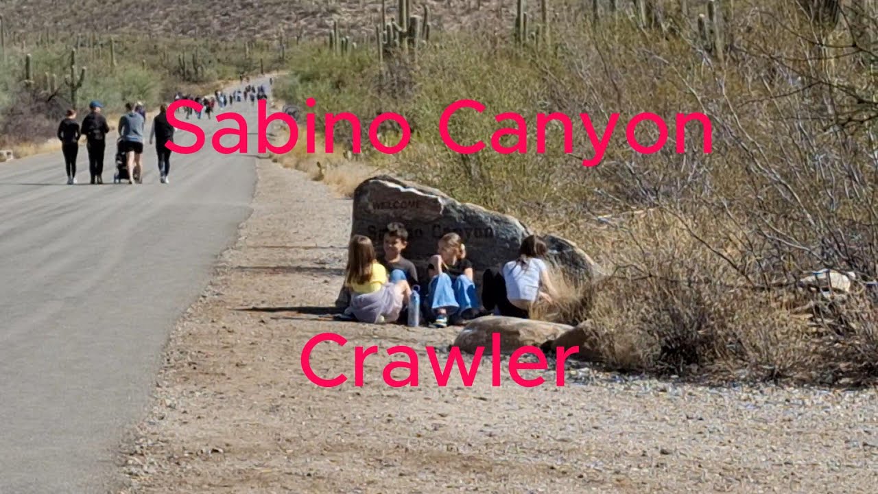 Sabino Canyon near Tucson, AZ. Wandering Individual Network member taking a day trip thru the canyon