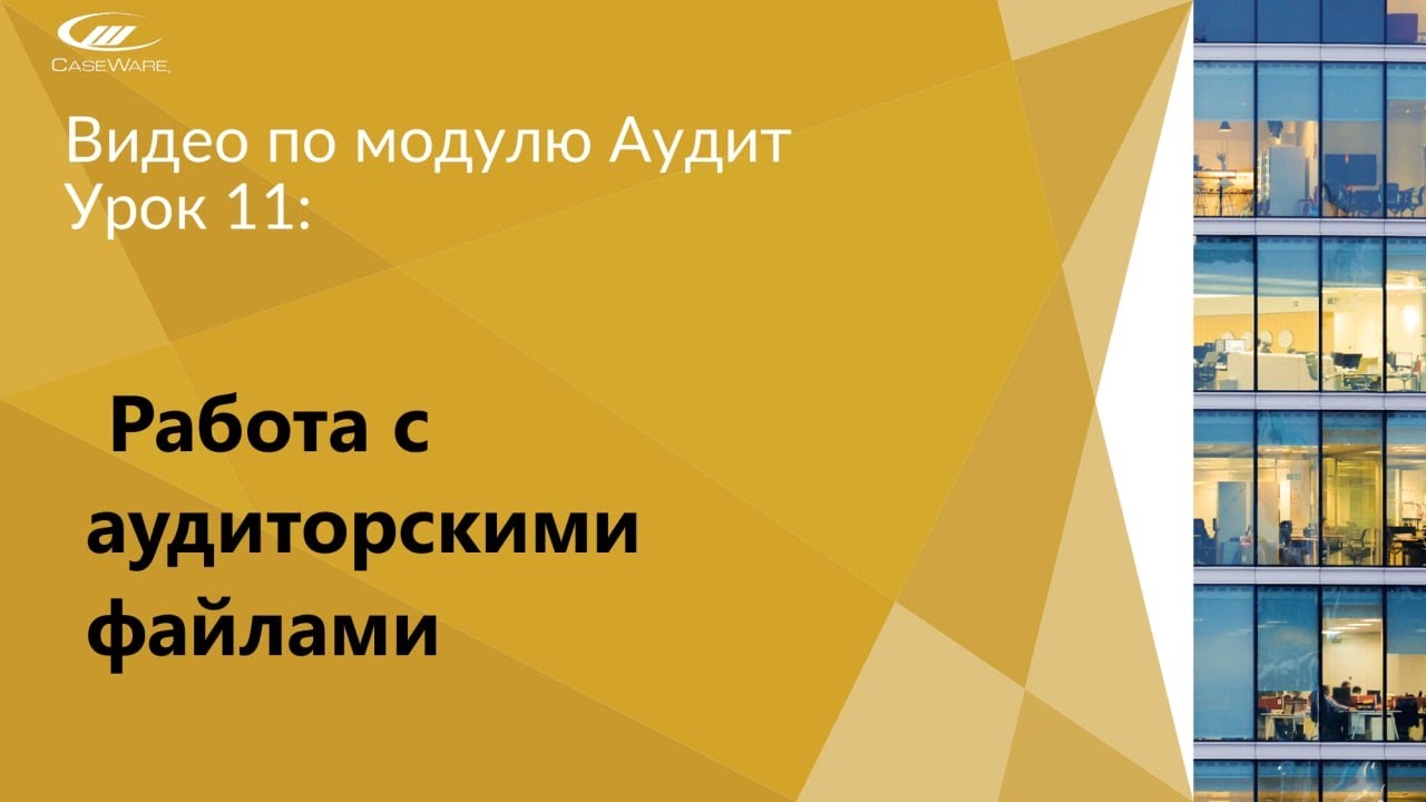 Урок 11: Работа c аудиторскими файлами | CaseWare Ukraine