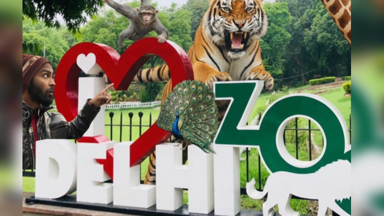 Delhi zoological park me khukhar janwar🐅😱