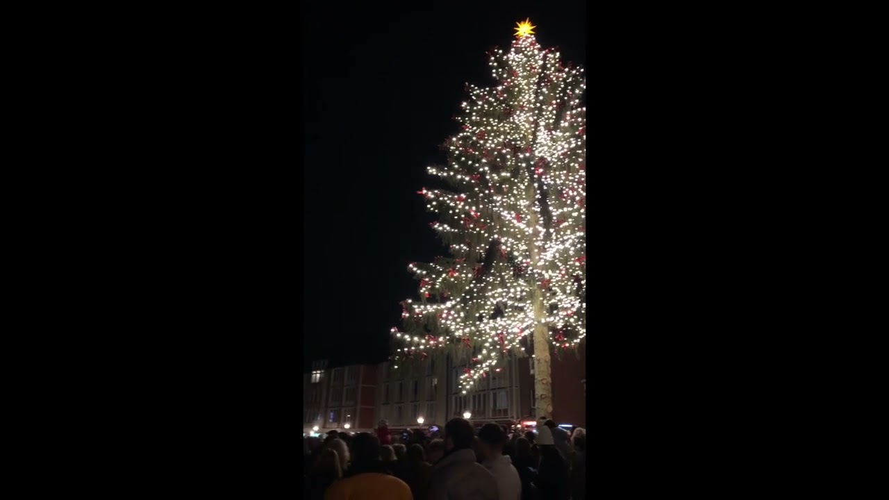 Das Große Stadtgeläute von Frankfurt am Main am Heiligabend (24122022)