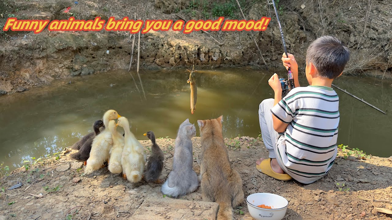 What amazing and interesting animals!cat and duckling accompanied me to go fishing.cute little tiger