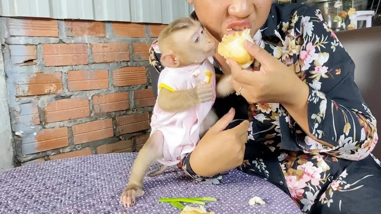 Mom & DAM Sharing A Yummy Sandwich Together On Snack