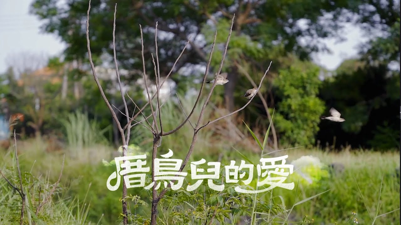 荒山亮 Ric Jan【厝鳥兒的愛】（三立台灣好戲《羅雀高飛》片頭曲）