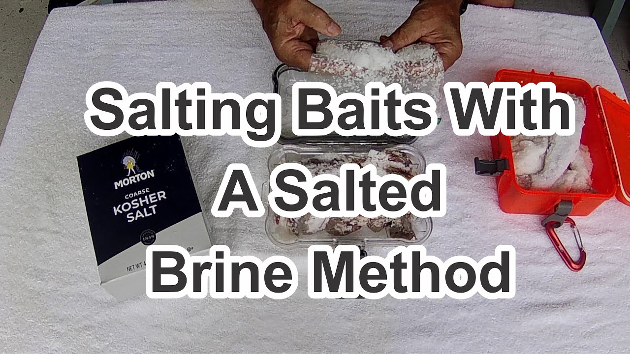 4 Reasons Why Hybrid Salted Baits Can't Be Beat For Surf Fishing