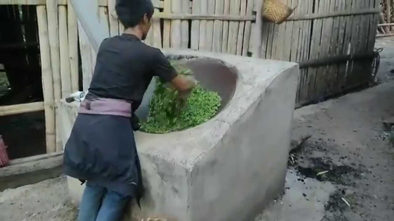 Bada mountain tea processing