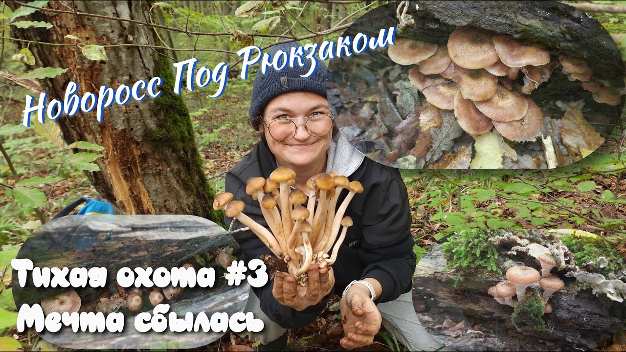 Тихаяя охота#3 Мечта сбылась